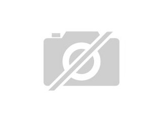 Halsbandsittich/Alexandersittich